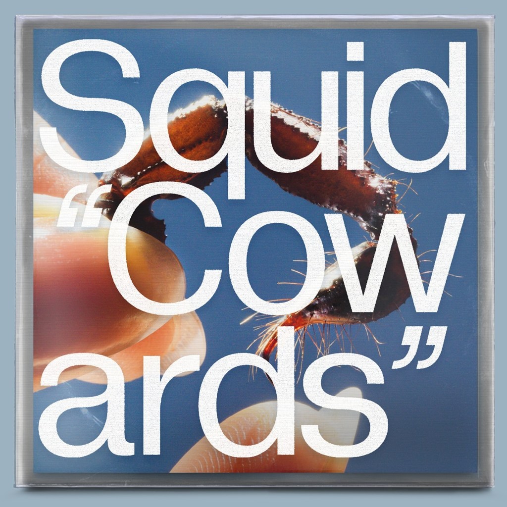 Squid: Cowards