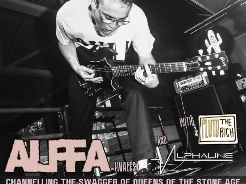 Alffa at the Purple&nbsp;Turtle