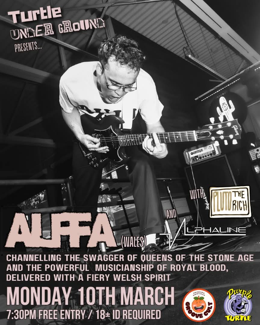 Alffa at the Purple&nbsp;Turtle