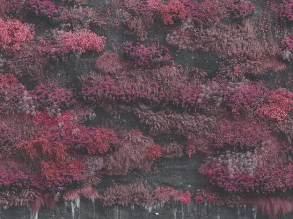 Sleep Token: Even In&nbsp;Arcadia