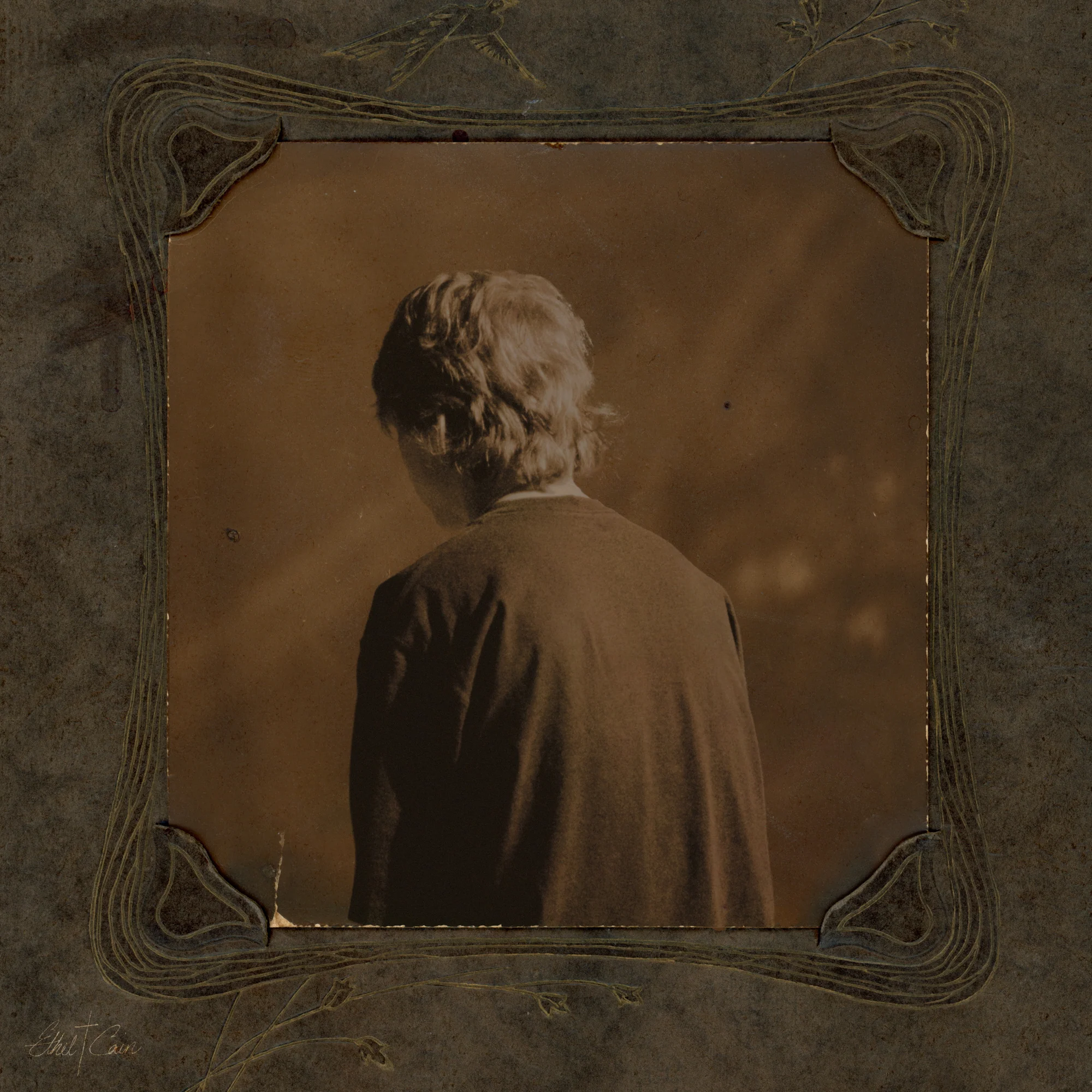 Ethel Cain: Willoughby Tucker, I’ll Always Love You